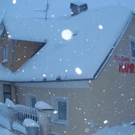 Penzion Hamrak Ceske Hamry Экстерьер фото