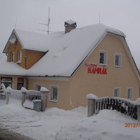 Penzion Hamrak Ceske Hamry Экстерьер фото