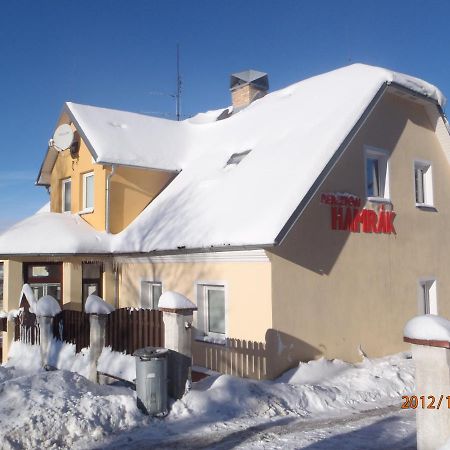 Penzion Hamrak Ceske Hamry Экстерьер фото