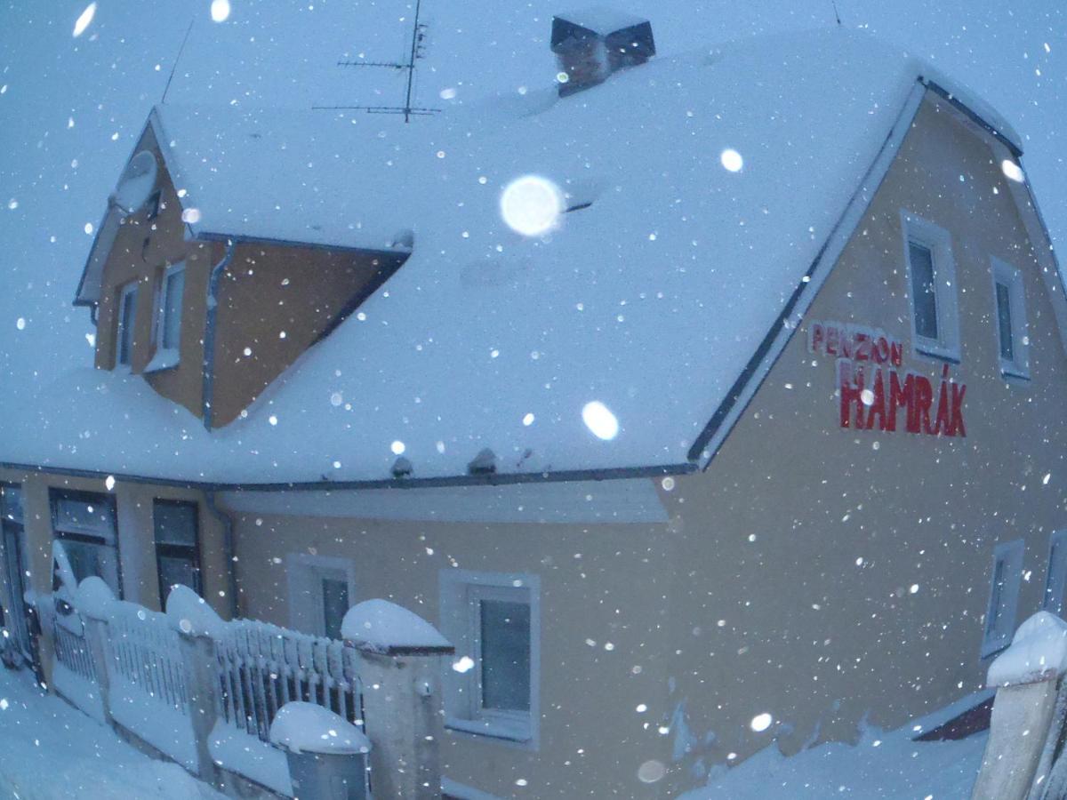 Penzion Hamrak Ceske Hamry Экстерьер фото