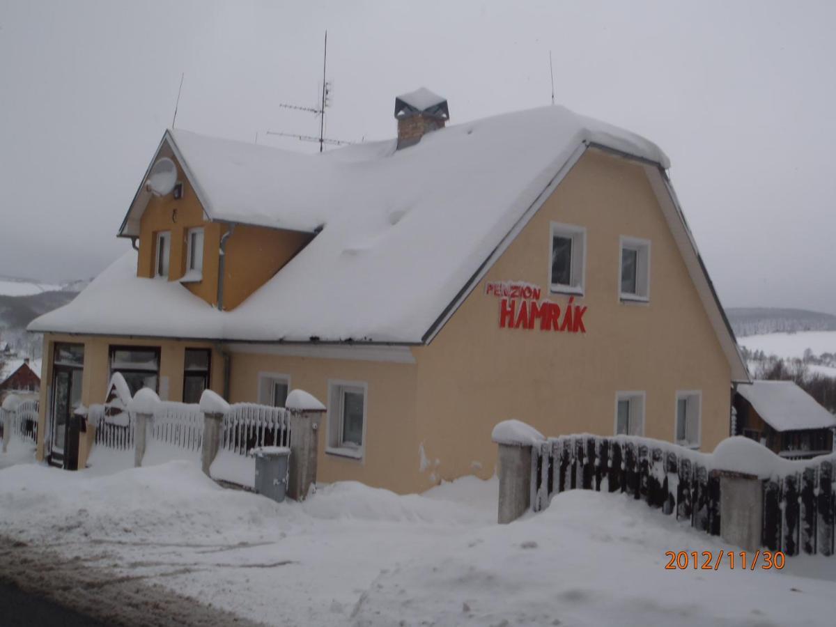 Penzion Hamrak Ceske Hamry Экстерьер фото