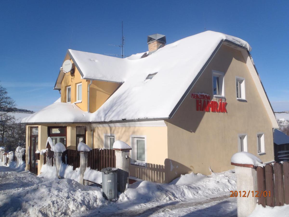 Penzion Hamrak Ceske Hamry Экстерьер фото